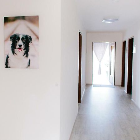 Steira-Studios Ehrenhausen Kültér fotó