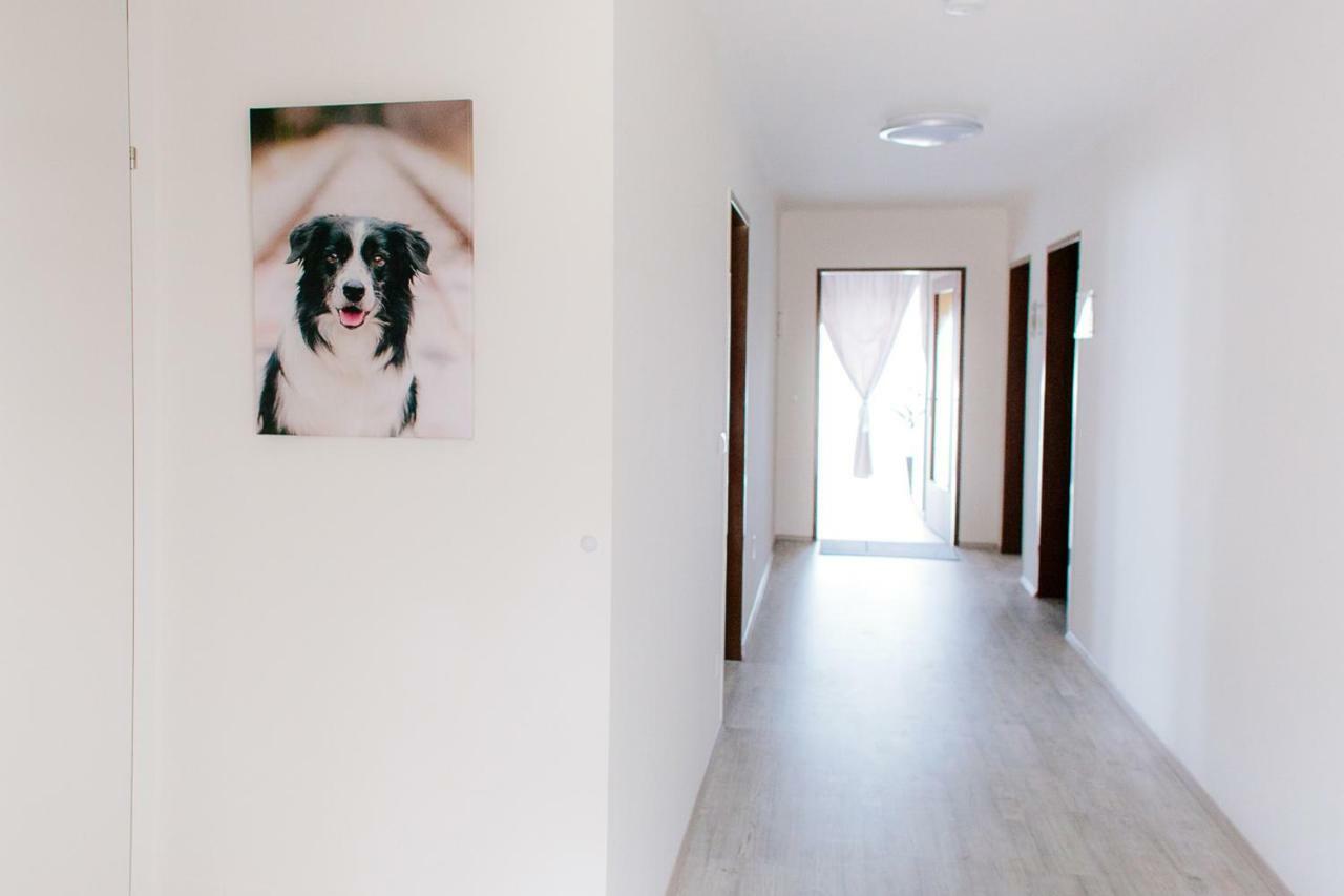 Steira-Studios Ehrenhausen Kültér fotó